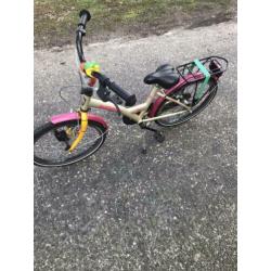 Leuk 20 inch fietsjes met verlichting merk batavus