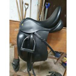 Anatomica octant