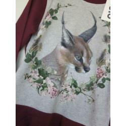 Molo shirt longsleeve Caracal maat 152