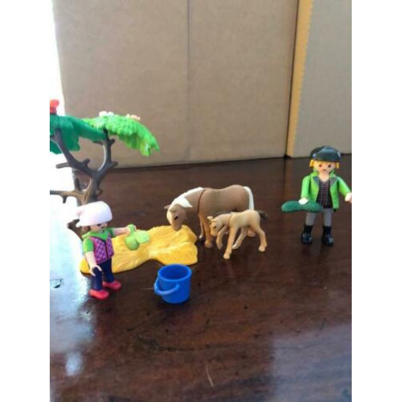 Dierenarts met pony’s, 6949