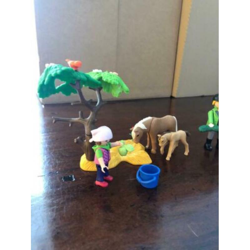 Dierenarts met pony’s, 6949