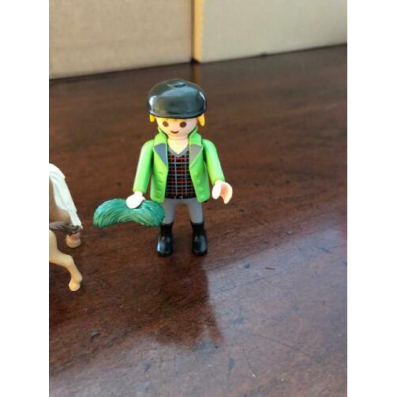 Dierenarts met pony’s, 6949