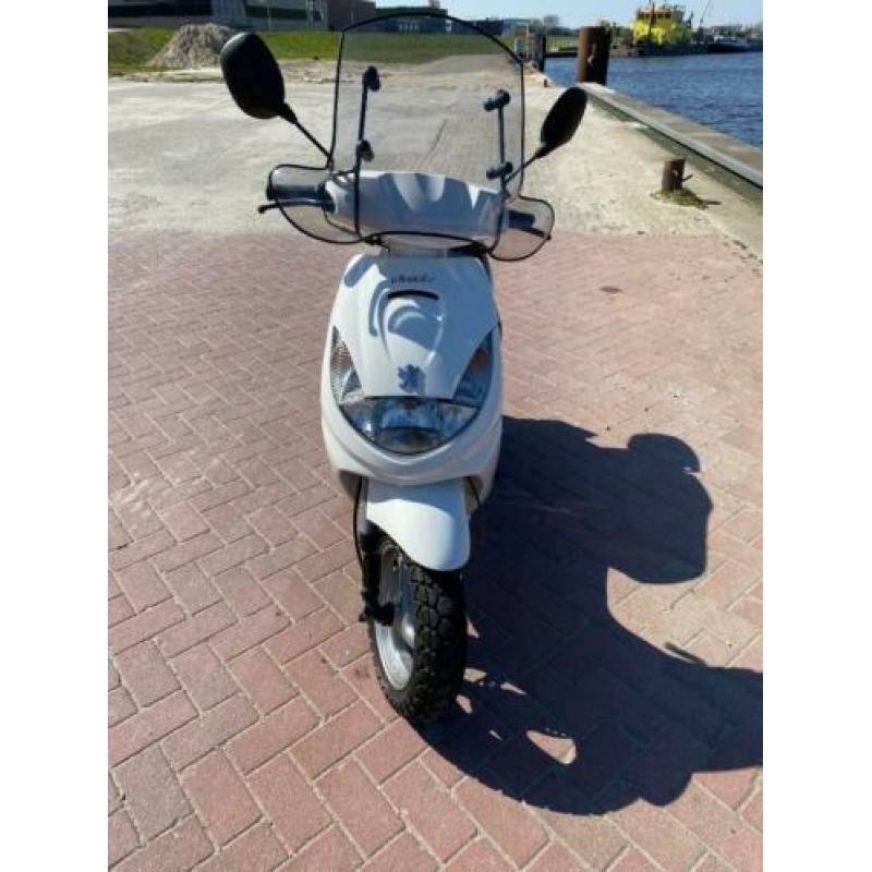 Peugeot Vivacity 100cc snor (125cc, 180cc, 150cc)