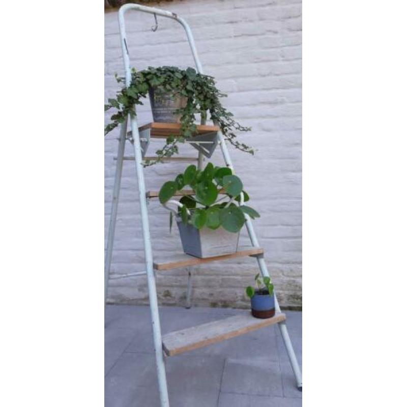 4 treeds trap decoratie vintage etalage