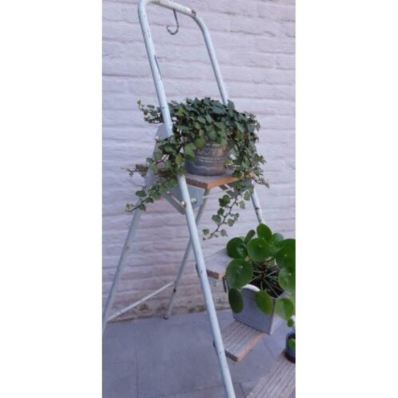 4 treeds trap decoratie vintage etalage