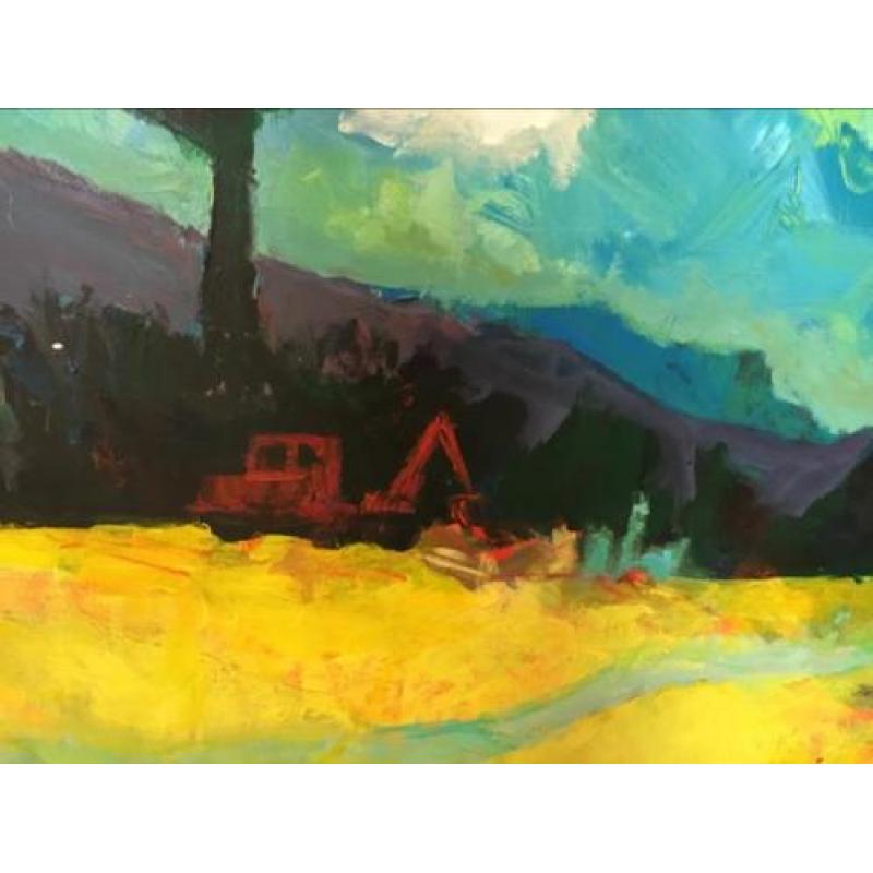 Groots werk Ton Etman Provence landschap