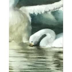 Zwanen schilderij 72x65 cm