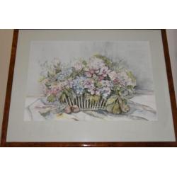 Aquarel Van Braam