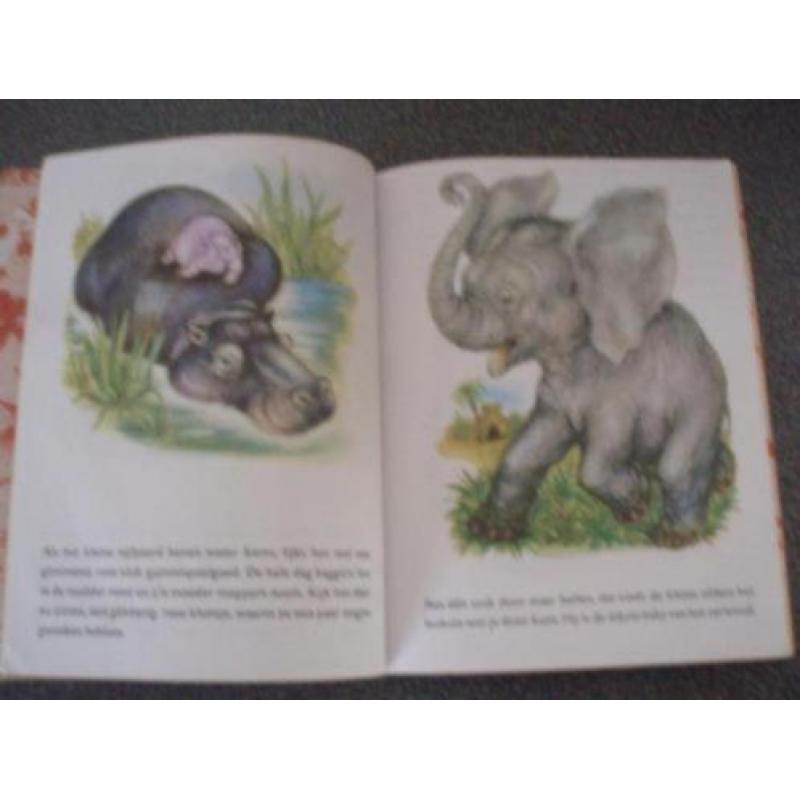 Gouden Boekje: De kleine dierentuin (1954)