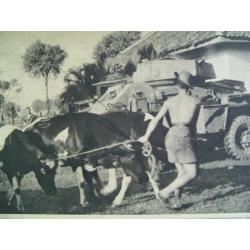 Soldaat overzee - 1947