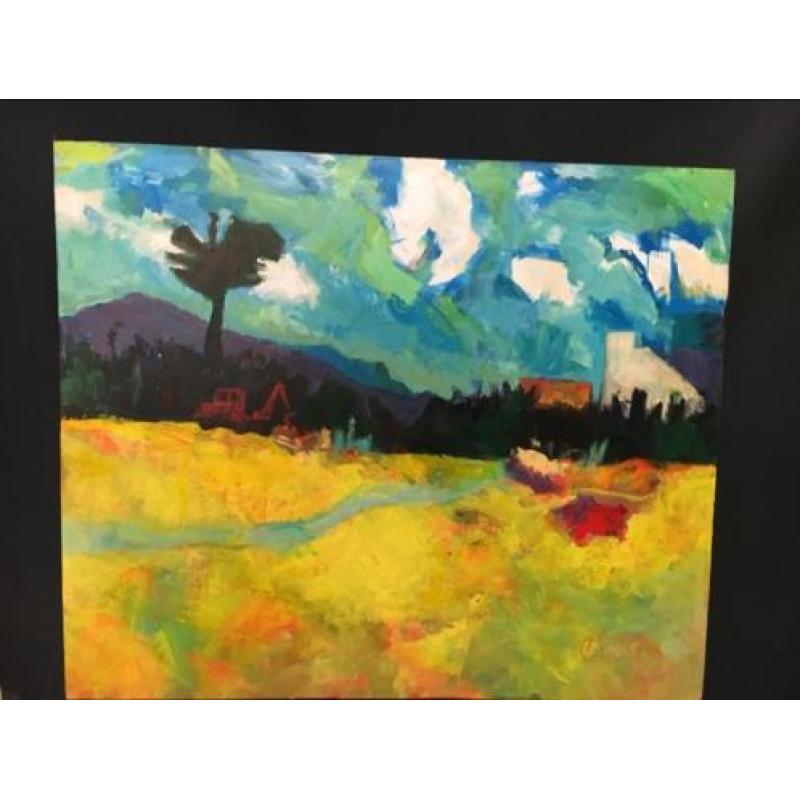 Groots werk Ton Etman Provence landschap