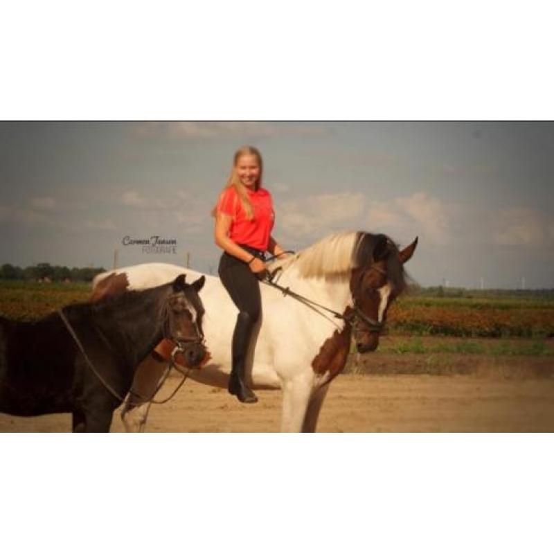 Lieve 5 jarige ruin & 17 jarige b pony, merrie