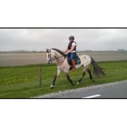 Bomproof PRE