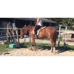 Lieve, pittige ruin te koop