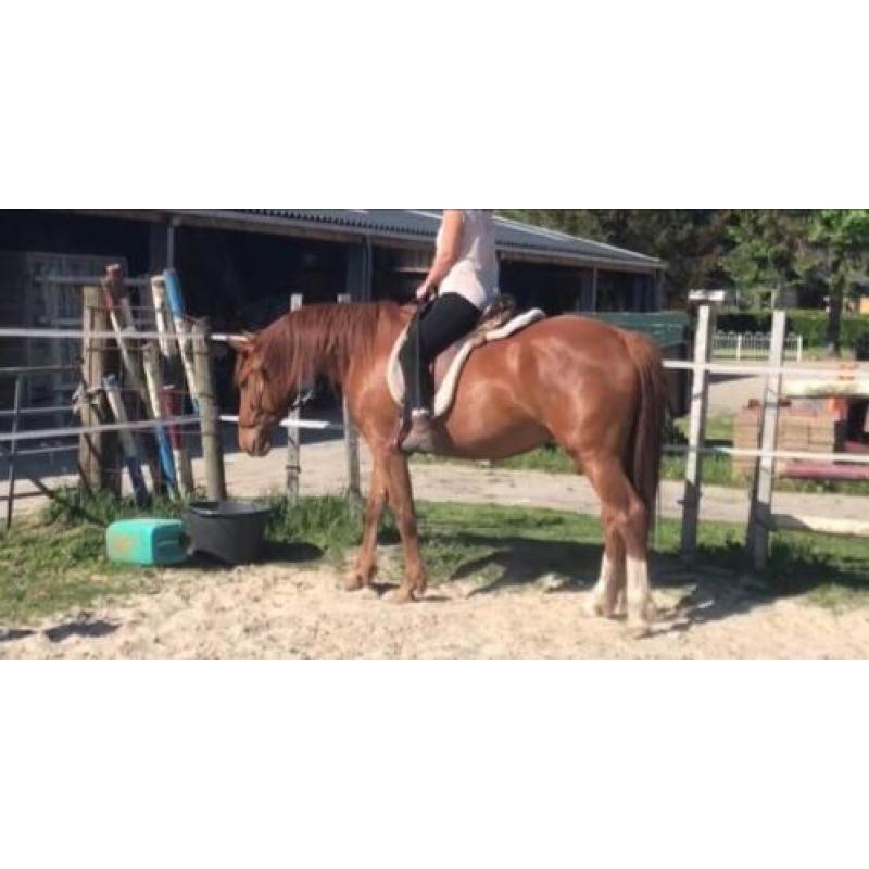 Lieve, pittige ruin te koop