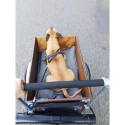 Unieke Stoere Bakfiets