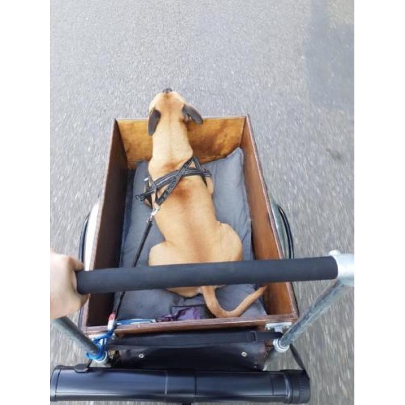 Unieke Stoere Bakfiets