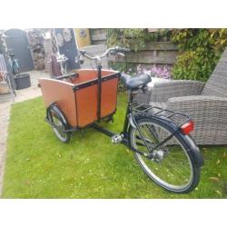 Babboe big bakfiets