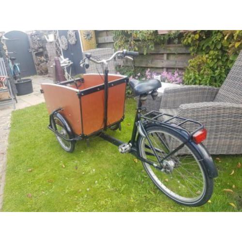 Babboe big bakfiets