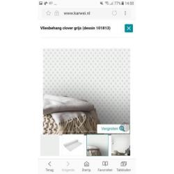 2 nieuwe rollen vliesbehang van Karwei