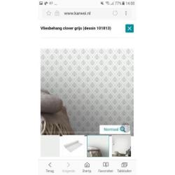 2 nieuwe rollen vliesbehang van Karwei